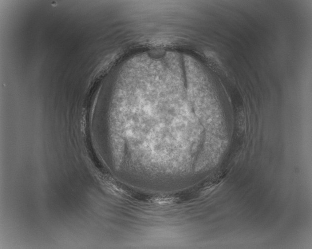 X0000062130495200512301505