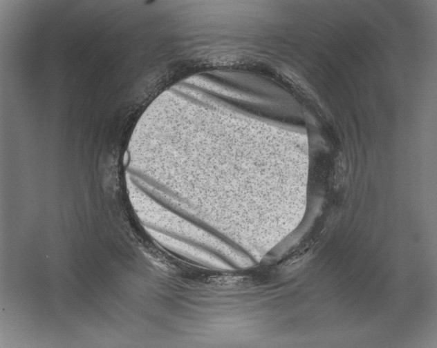 X0000062130497200512301505