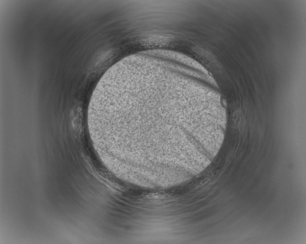 X0000062130498200512301505