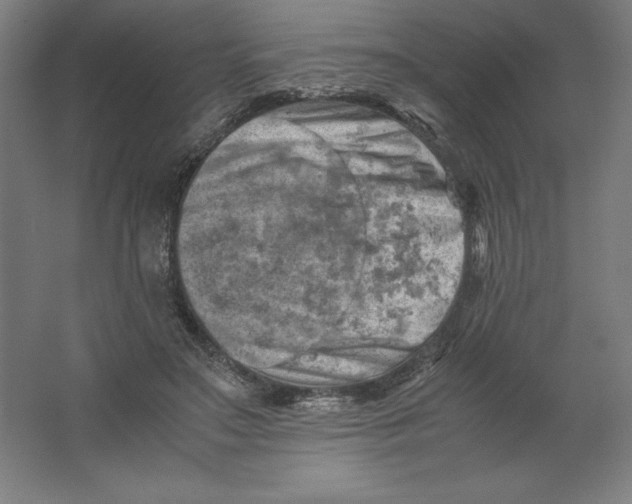 X0000062130499200512301505