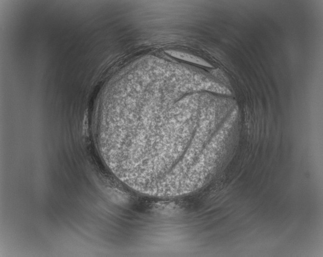 X0000062130502200512301505