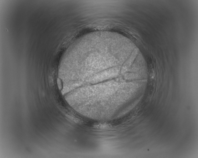 X0000062130503200512301505