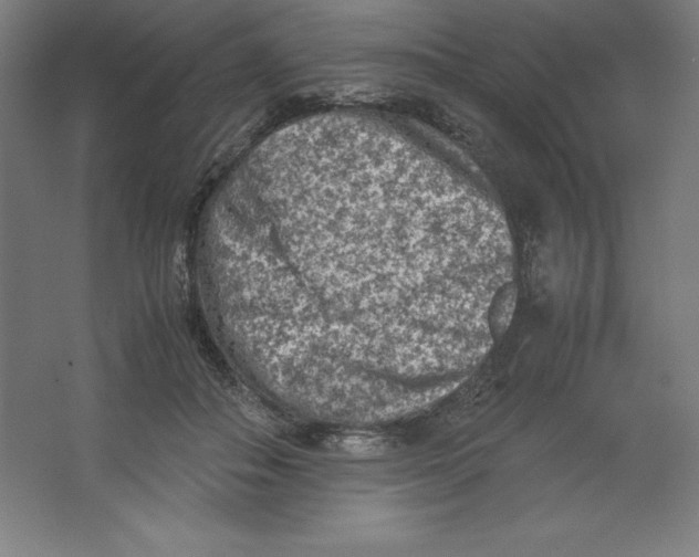 X0000062130506200512301505