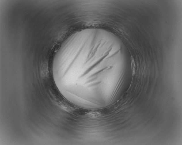 X0000062130508200512301505