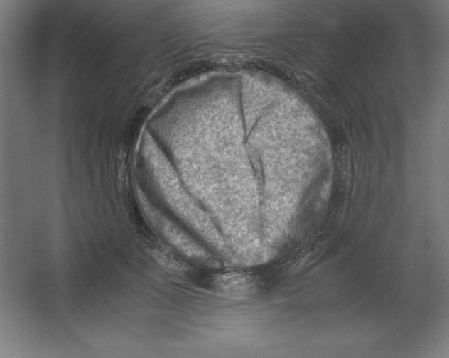 X0000062130511200512301505