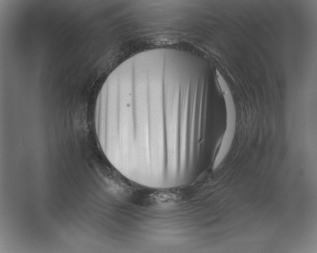 X0000062130512200512301505