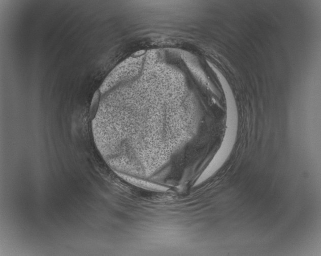 X0000062130513200512301505