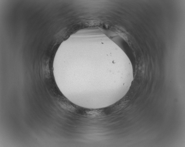 X0000062130516200512301505