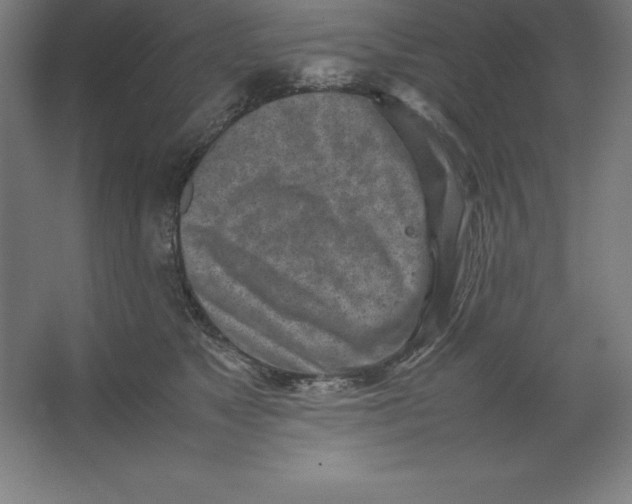 X0000062130517200512301505