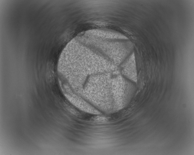 X0000062130518200512301505