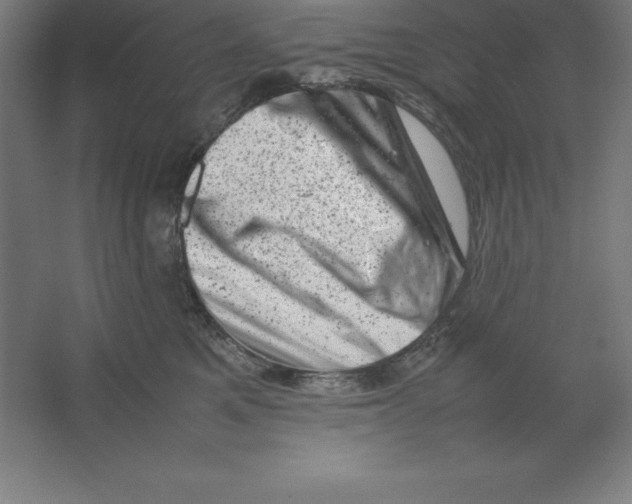 X0000062130521200512301505