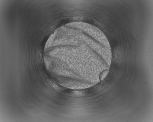 X0000062130522200512301504