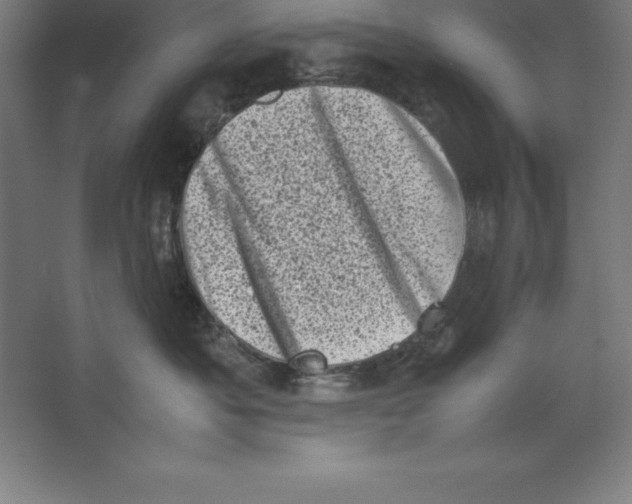 X0000062130525200512301504