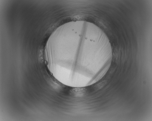 X0000062130526200512301504