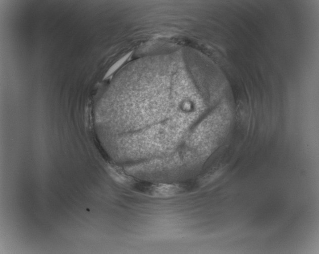 X0000062130527200512301504