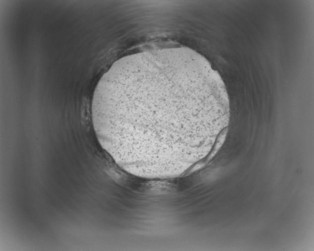 X0000062130528200512301504