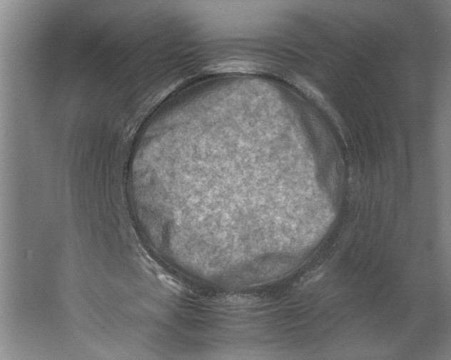 X0000062130529200512301504