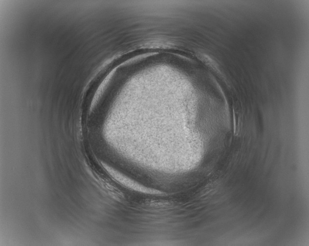 X0000062130531200512301504