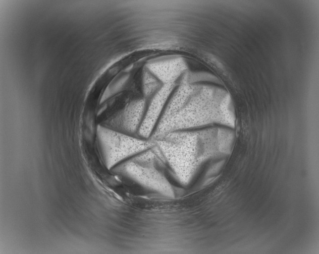 X0000062130532200512301504