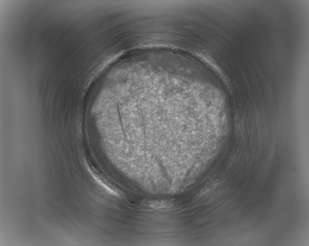 X0000062130533200512301504