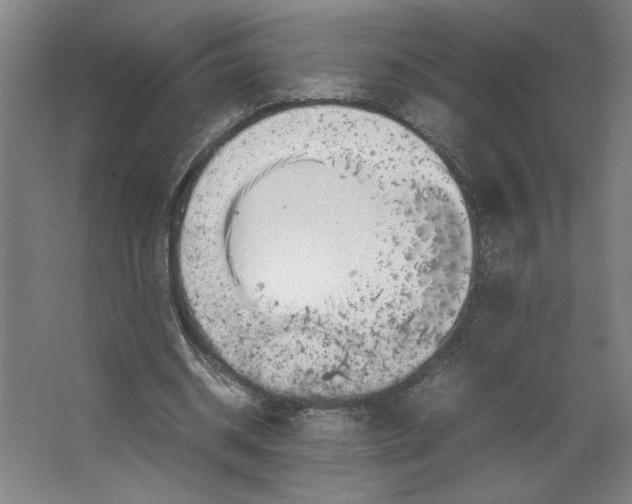 X0000062130534200512301504