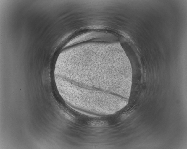 X0000062130535200512301504