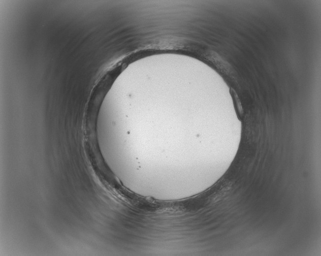 X0000062130536200512301504