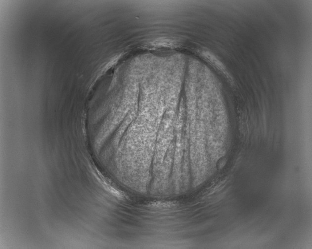 X0000062130537200512301504