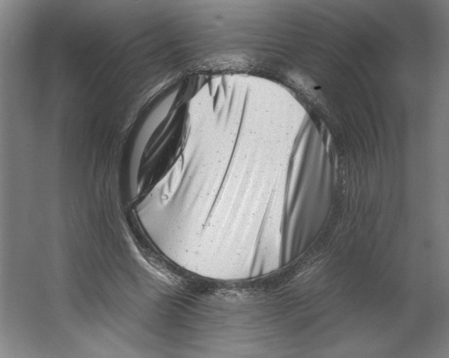 X0000062130538200512301504