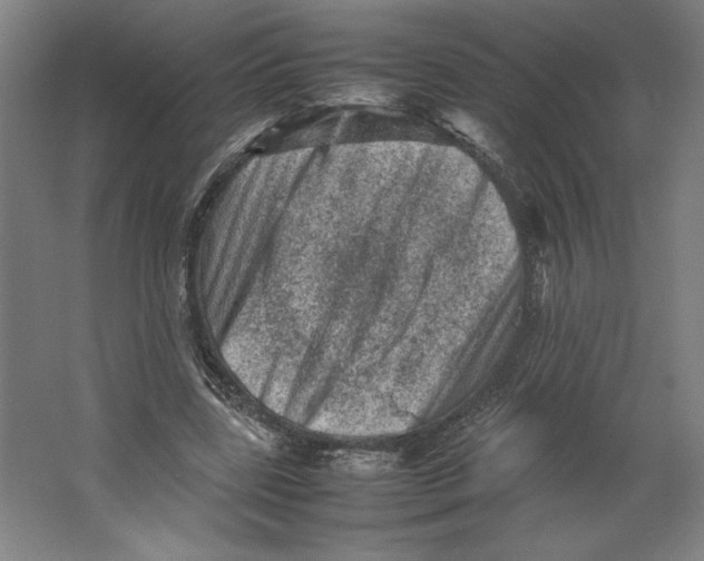 X0000062130539200512301504