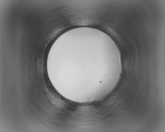 X0000062130540200512301504