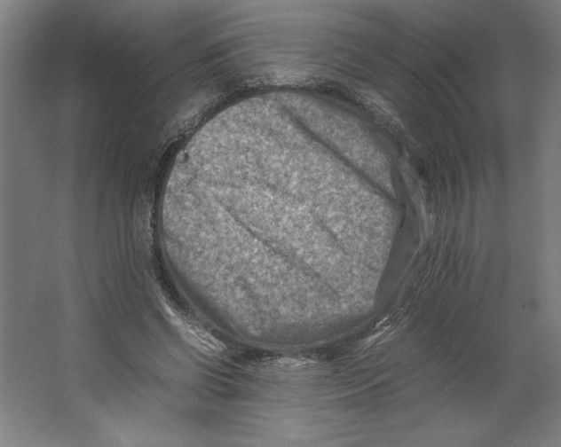 X0000062130542200512301504