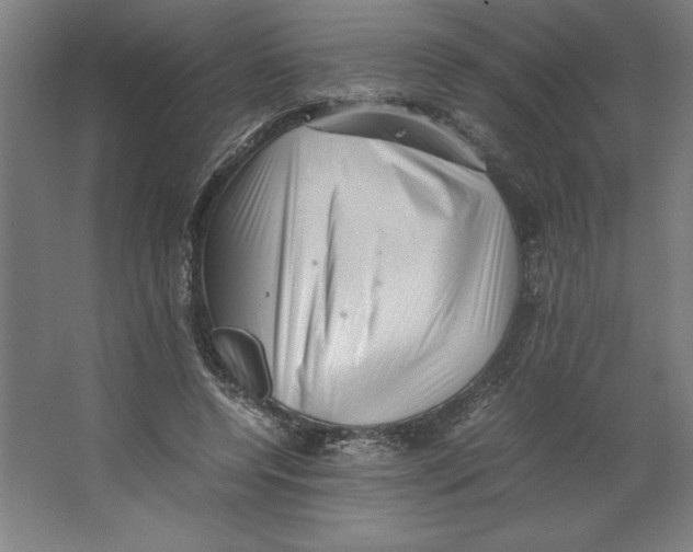 X0000062130544200512301504