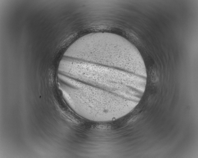 X0000062130546200512301504