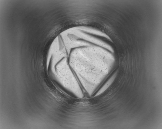 X0000062130548200512301504