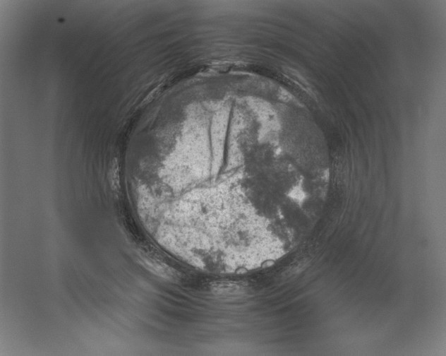 X0000062130549200512301504