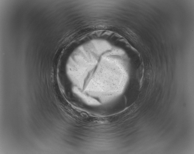 X0000062130552200512301504