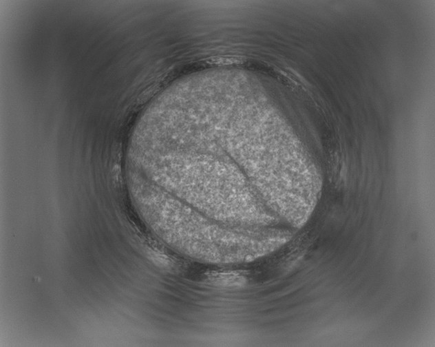 X0000062130553200512301504