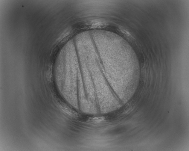 X0000062130554200512301504