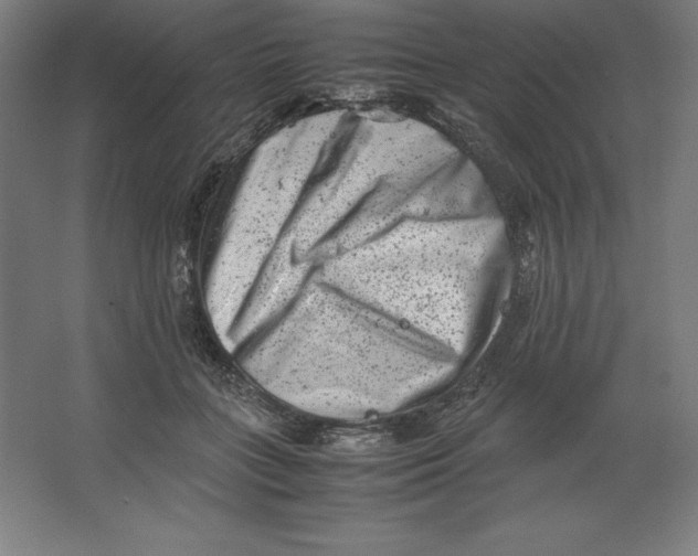 X0000062130555200512301504