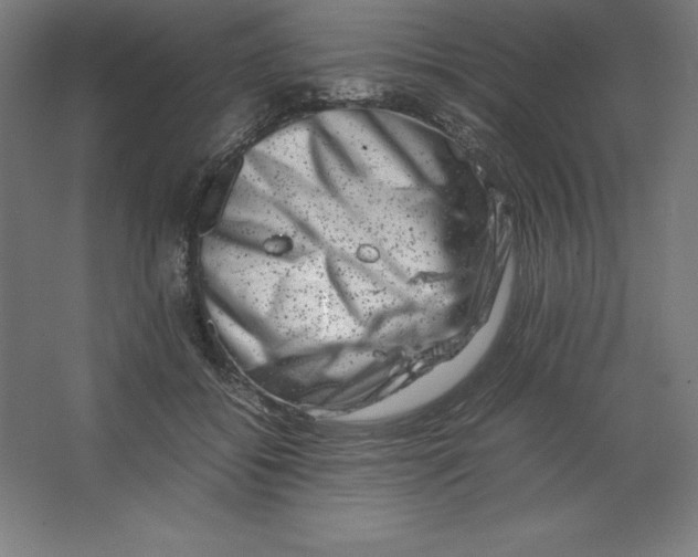 X0000062130556200512301504