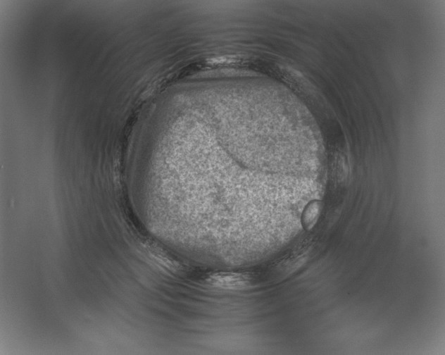 X0000062130557200512301504