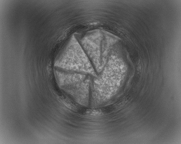 X0000062130559200512301504