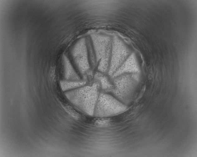 X0000062130560200512301504