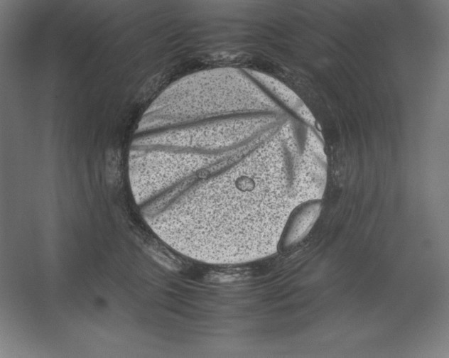 X0000062130563200512301504