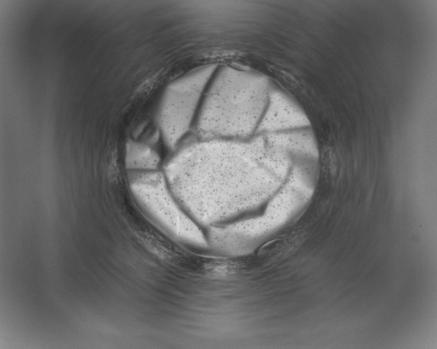 X0000062130564200512301504