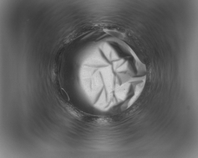 X0000062130566200512301504