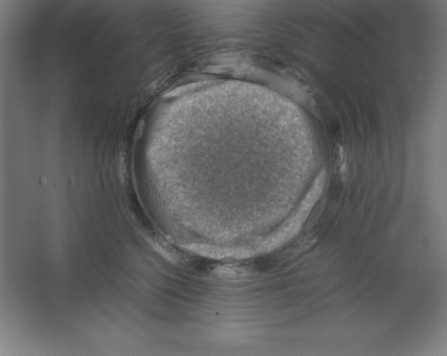 X0000062130568200512301504