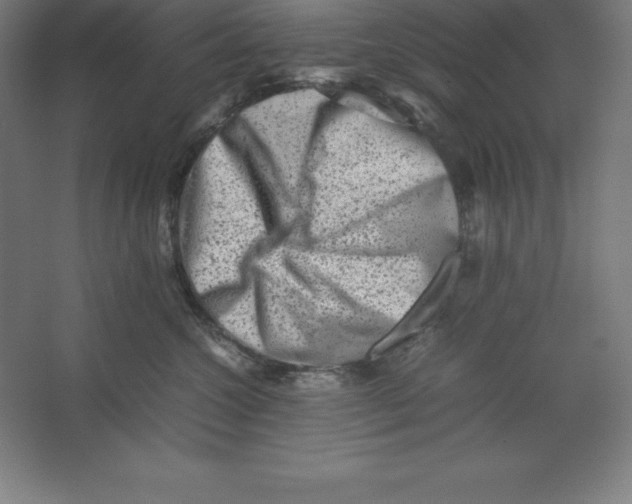 X0000062130572200512301504