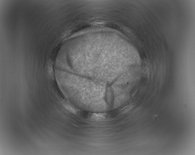 X0000062130573200512301504